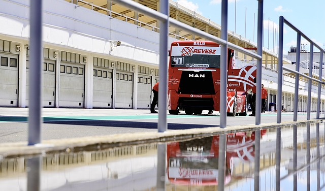 指导和策略 指导和策略