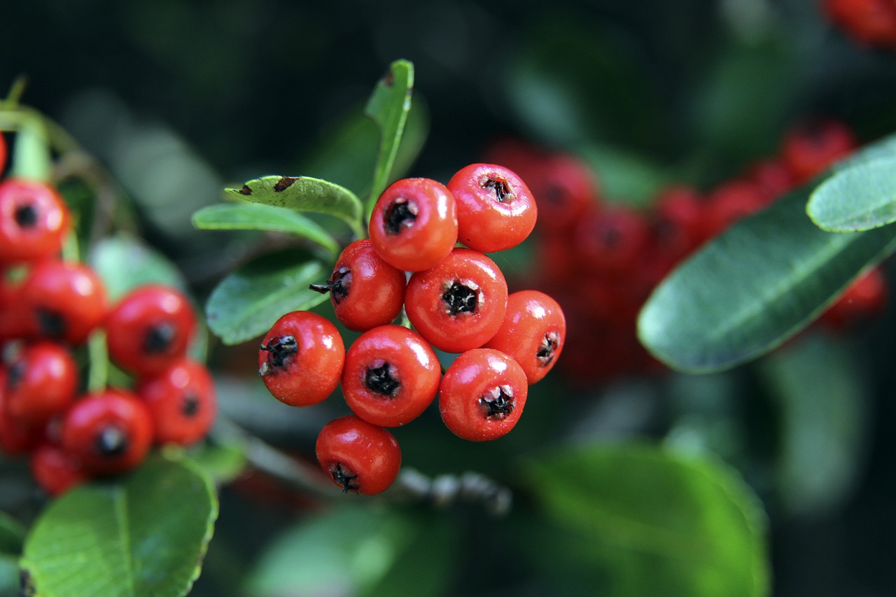 並將後者送 並將後者送