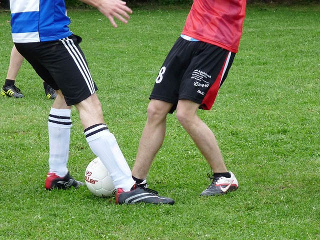 成功的案例 成功的案例