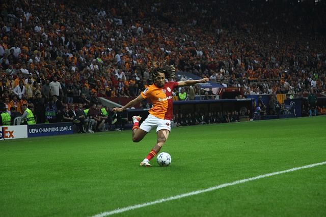 起伏明显 起伏明显